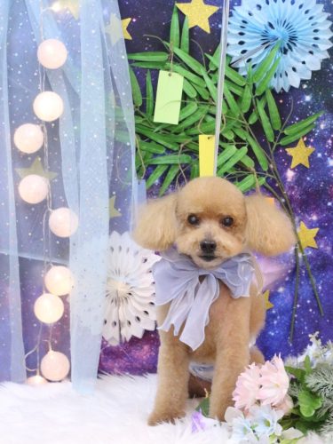 20250704のえるくん